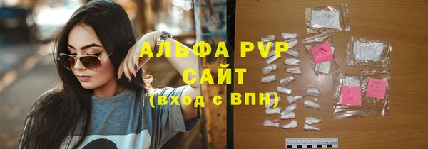 ECSTASY Богданович