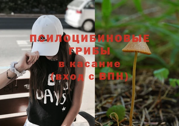 дурь Ростов